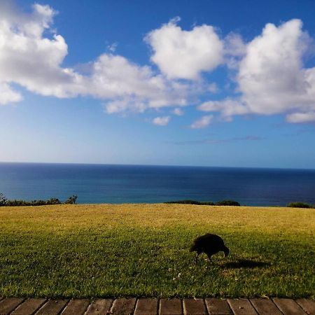 Dana Bay B&B Guest House Mossel Bay Dış mekan fotoğraf